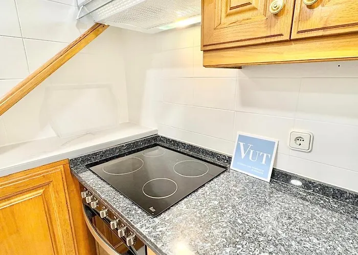 公寓 Atico Duplex En El Corazon Del Casco Historico De 奥维耶多