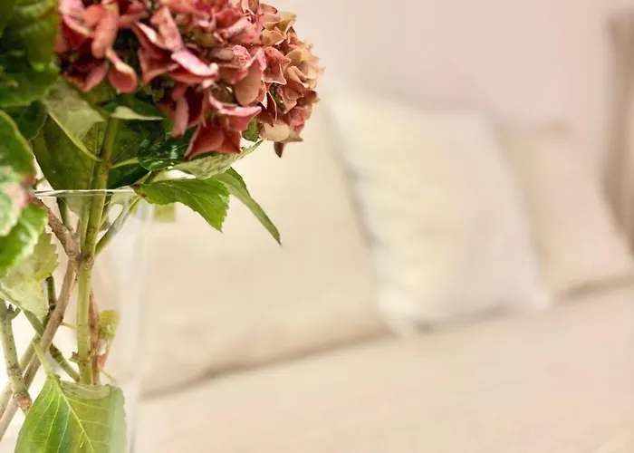 Atico Duplex En El Corazon Del Casco Historico De 奥维耶多